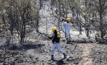 Incendio en Arteaga bajo control, continúa fase de liquidación en el Tunal, Coahuila 