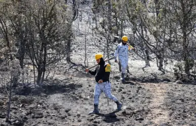 Incendio en Arteaga bajo control, continúa fase de liquidación en el Tunal, Coahuila 