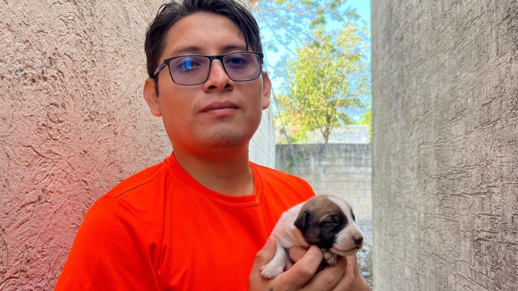 Joven rescata perritos callejeros y pide apoyo a la comunidad en Santa Cruz Palomeque