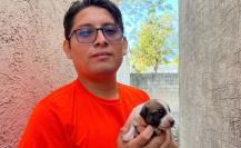 Joven rescata perritos callejeros y pide apoyo a la comunidad en Santa Cruz Palomeque