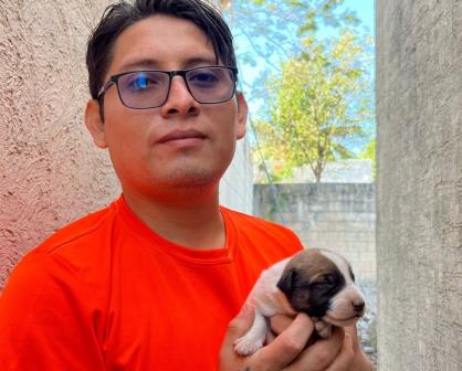 Joven rescata perritos callejeros y pide apoyo a la comunidad en Santa Cruz Palomeque