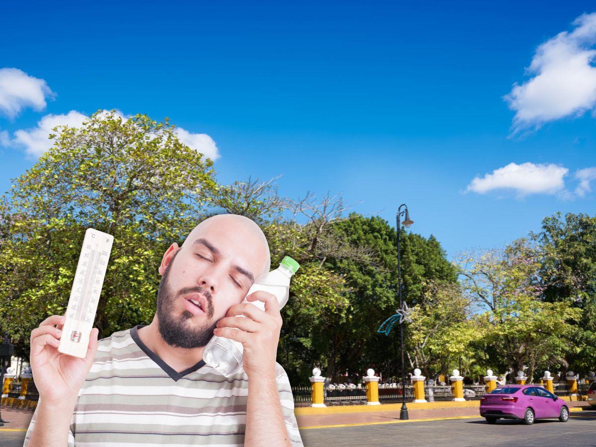 Para la jornada de este martes se espera cielo totalmente despejado con ambiente caluroso por las tardes y fresco por las noches.- Fuente Canva