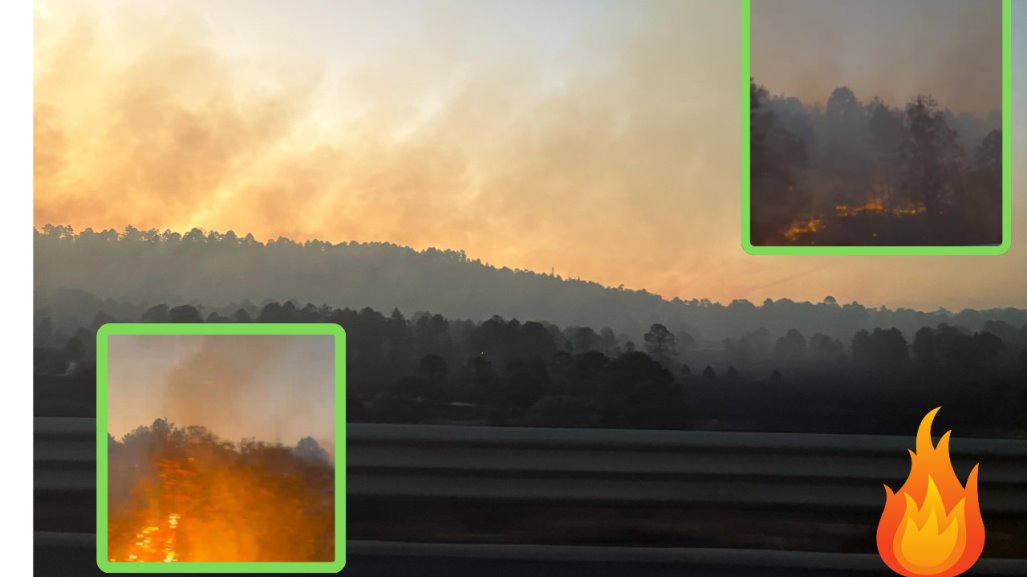 Incendio de basurero en El Salto llega al bosque; reportan control al 70 por ciento