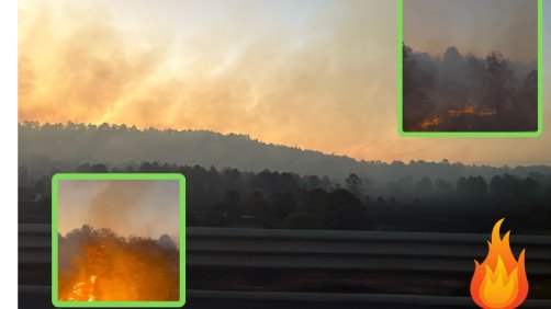 Incendio de basurero en El Salto llega al bosque; reportan control al 70 por ciento