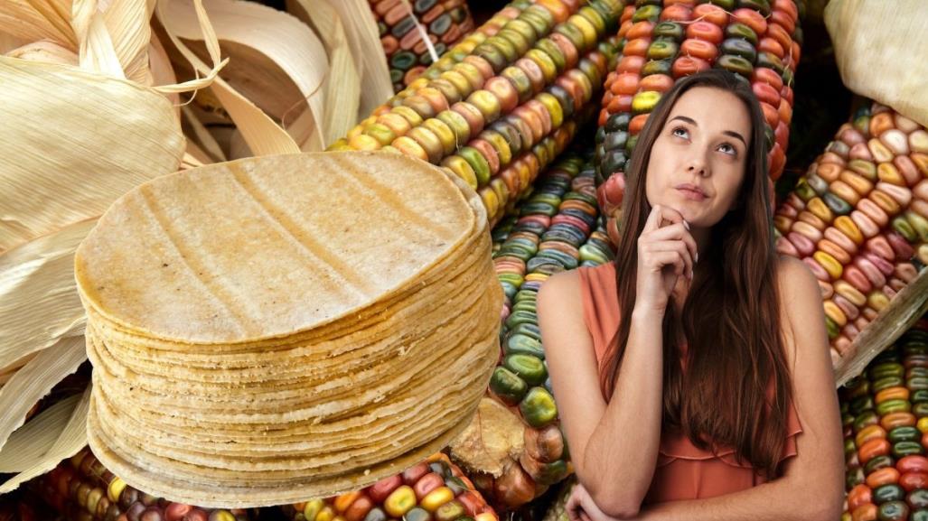 ¿Prohibición del maíz transgénico afectará precio del kilo de tortilla en México?