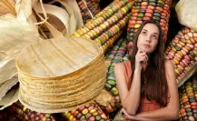 ¿Prohibición del maíz transgénico afectará precio del kilo de tortilla en México?