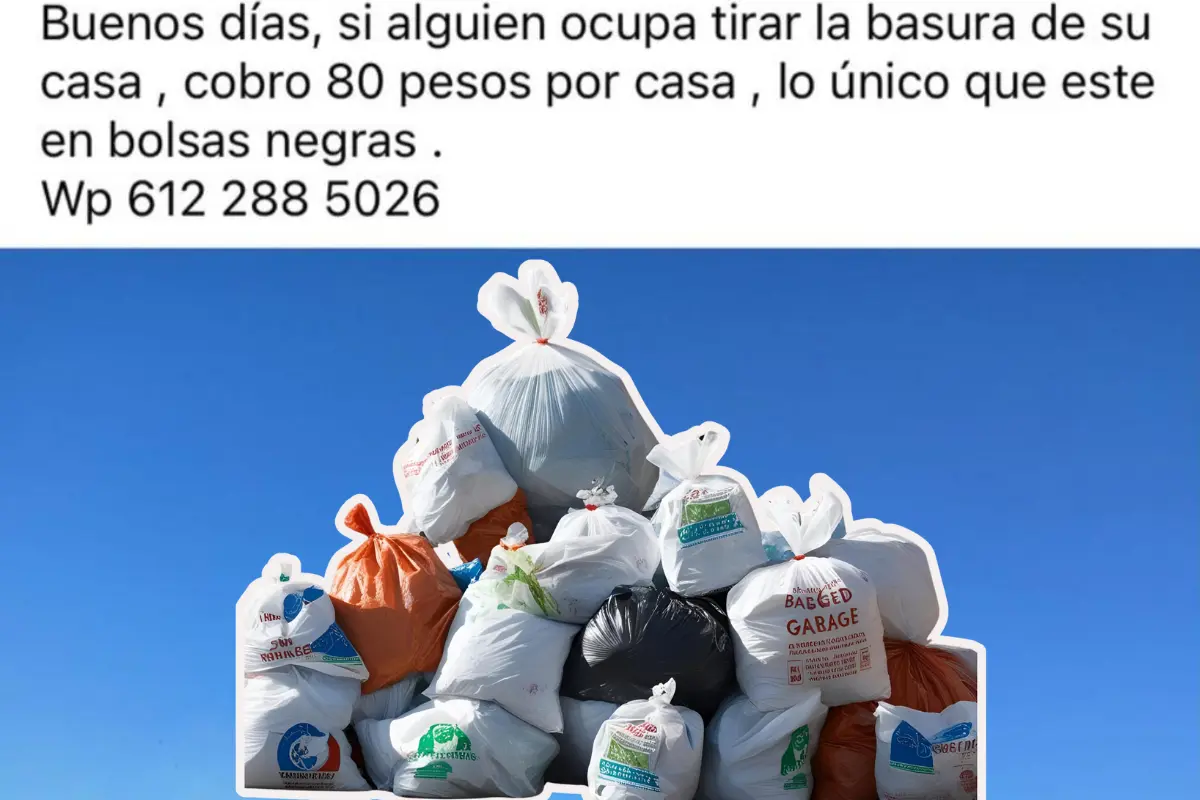 Foto: Canva.