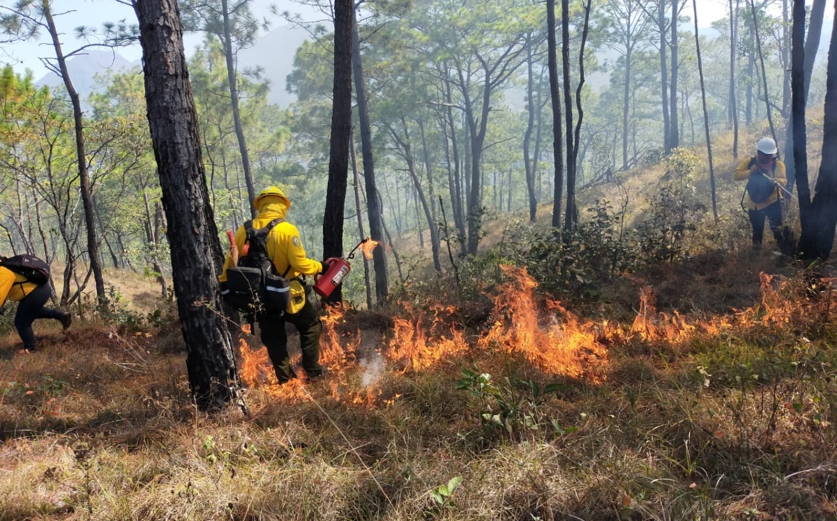 El cuerpo de bomberos, Protección Civil, se encuentran al pendiente de cada uno de los incidentes. Foto: Redes Sociales