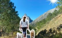 Descubre la Sierra de Santiago y disfruta del senderismo junto a tu perro