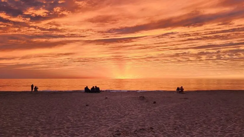 Playa San Pedrito cuenta con acceso cómodo y un entorno natural ideal para el descanso. Foto: Tripadvisor