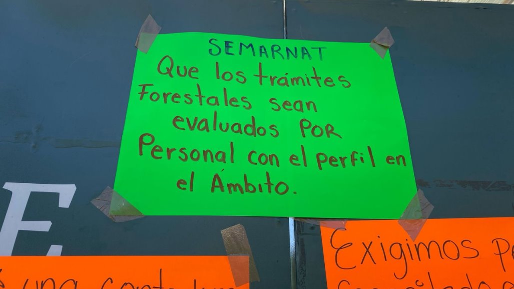 Ejidatarios toman delegación de Semarnat en Veracruz; acusan retraso en programa de cuidado forestal