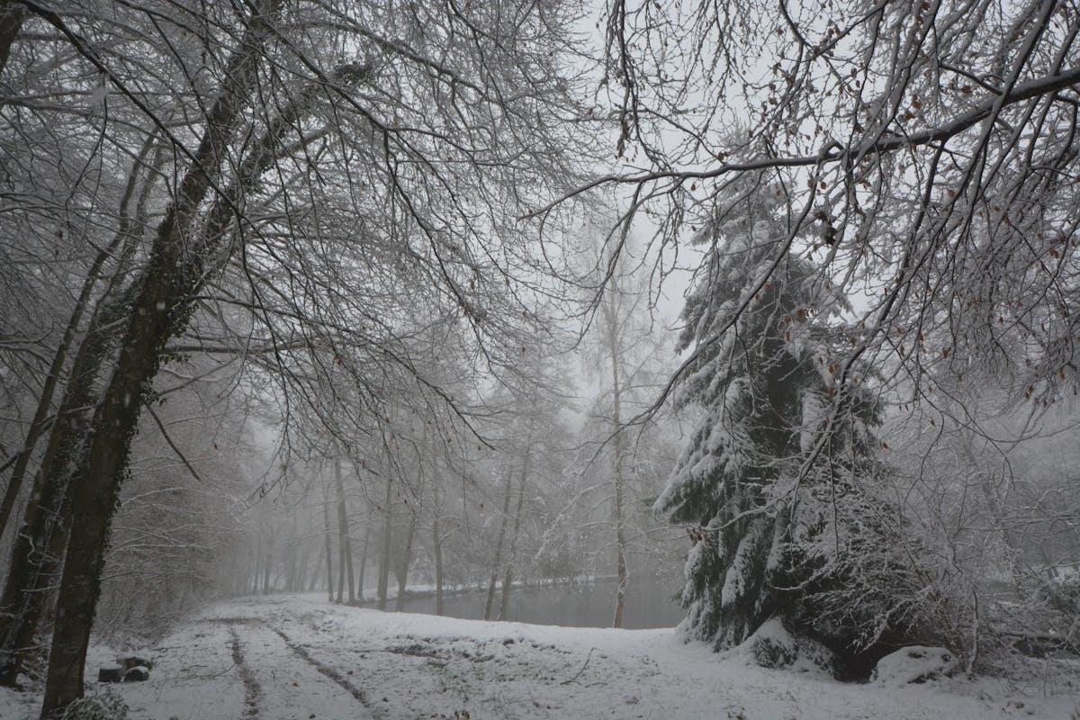 Zona cubierta de nieve Foto: Pexels