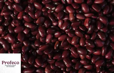 ¿Te gustan los frijoles? Profeco te dice cual es el aporte nutrimental de este alimento mexicano