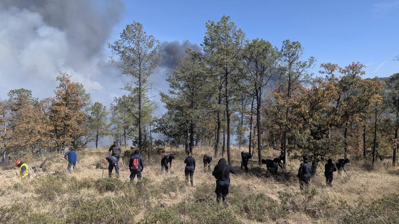 Esta semana se registró un incendio forestal relevante en Pueblo Nuevo. Foto: Gobierno Municipal Pueblo Nuevo.