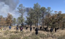 Incendios forestales en Durango: miles de hectáreas dañadas en las primeras semanas de la temporada 2025