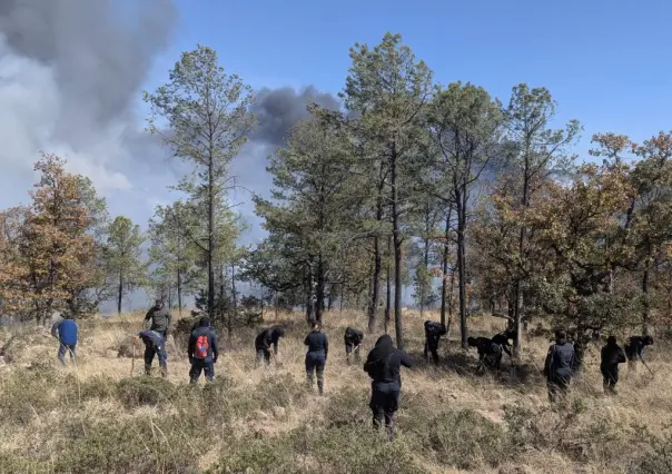 Incendios forestales en Durango: miles de hectáreas dañadas en las primeras semanas de la temporada 2025