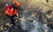 ¿Cuántos incendios hay en Nuevo León por los vientos? Esto se sabe