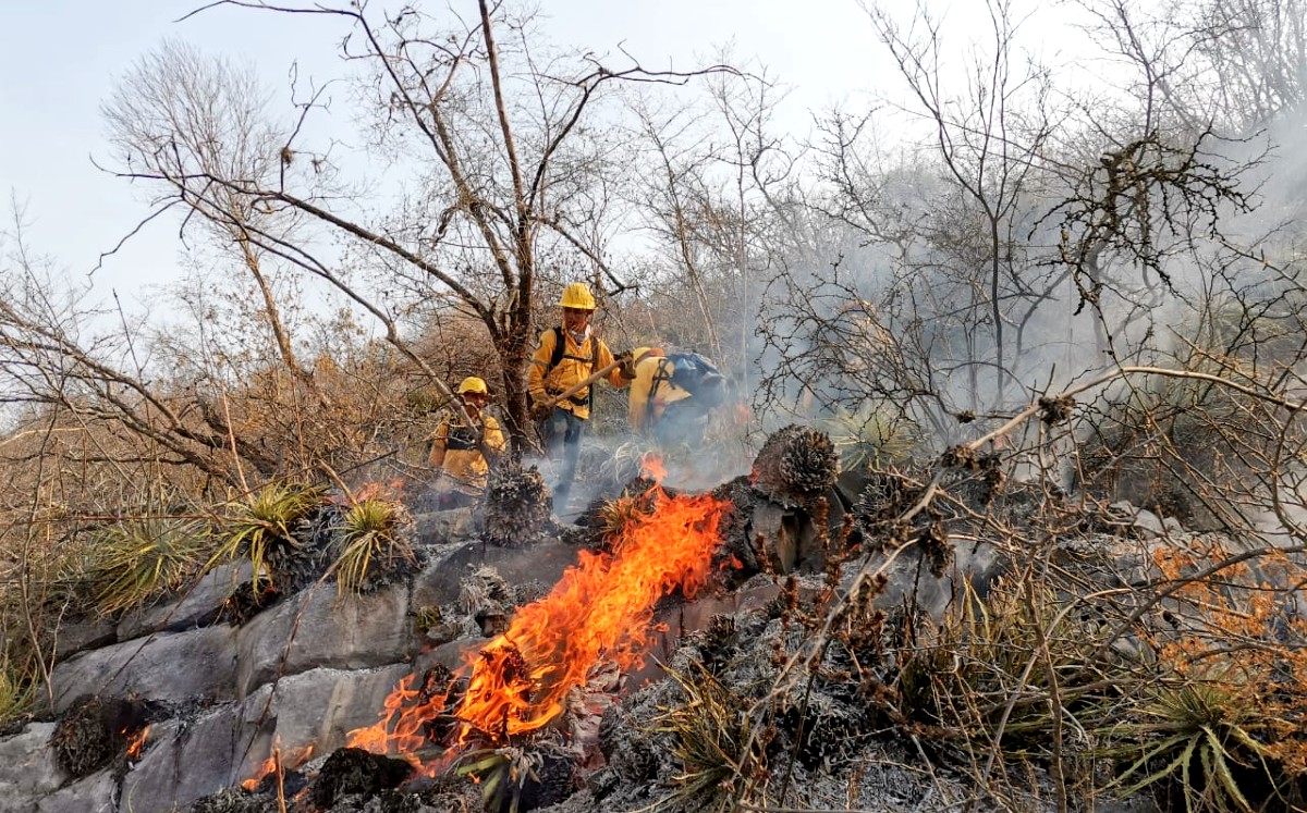 Las autoridades confirman que los incendios del fin de semana fueron provocados y ya investigan a los responsables. Foto: Redes Sociales