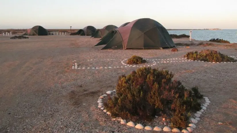 El ecoturismo en Baja California Sur promueve el cuidado del medio ambiente y el apoyo a las comunidades locales. Foto:: Tripadvisor