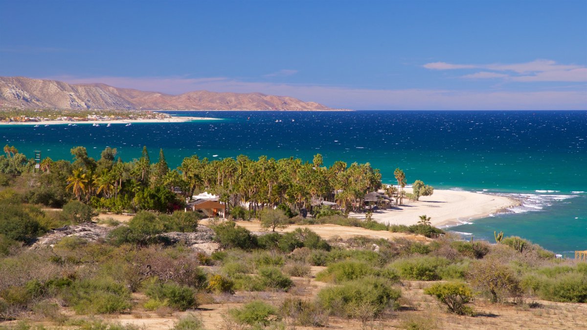 Con sus playas de arena blanca y aguas cristalinas, La Paz atrae a turistas que disfrutan de deportes acuáticos, nadar con tiburones ballena y explorar la Isla Espíritu Santo. Foto: Expedia