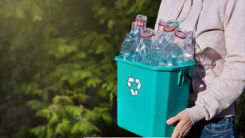 Buscan implementar la recolección selectiva de basura en BCS para facilitar el reciclaje y la reducción de desechos. Foto: Canva