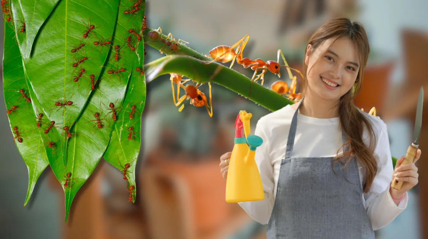 ¿Tienes hormigas en tus plantas? Elimínalas con este ingrediente poderoso. Foto: Canva.
