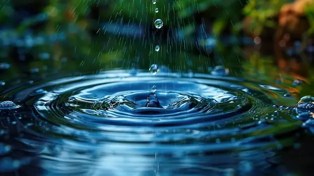 Con motivo del Día Mundial del Agua, se presentaron las diferentes actividades que ha preparado la secretaría para sensibilizar a la población. Foto: Freepik