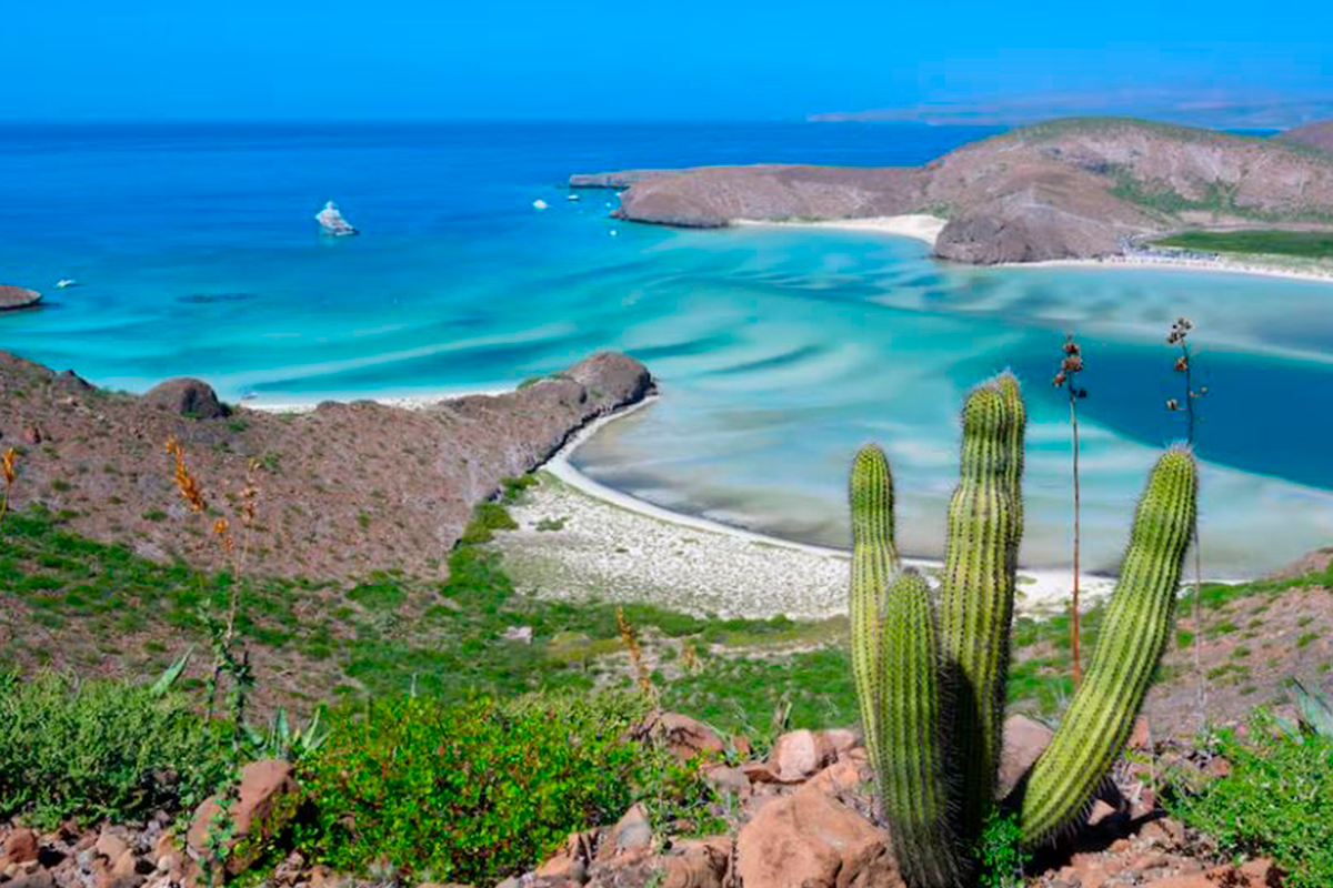 Balandra en un Área Natural Protegida. Foto: Wirestock (Getty Images/iStockphoto.