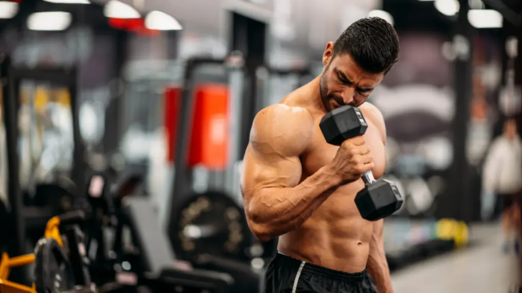 ¿Cuántos días se debe entrenar a la semana para ganar fuerza muscular, según expertos?