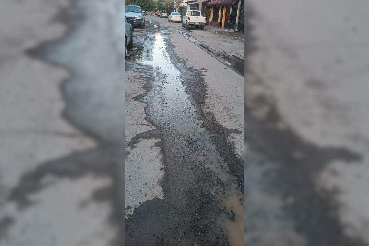 COMAPA Victoria ha sido omisa en reparar una fuga de agua potable reportada por vecinos del Fraccionamiento México en octubre de 2024. Foto: Redes sociales