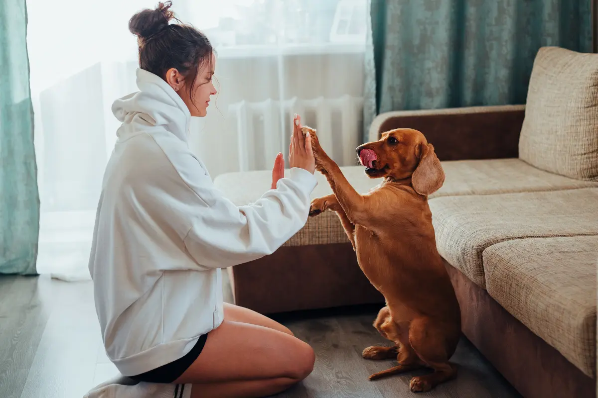 Jugar con perros mejora la salud. Un estudio científico revela cómo beneficia tanto a humanos como a mascotas. Foto: Canva