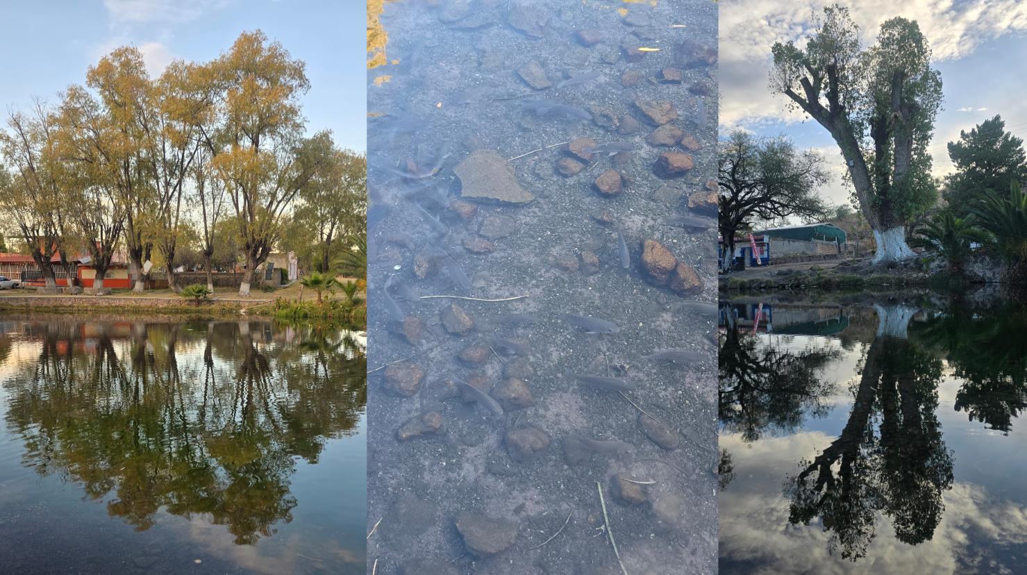 Foto: Gerardo Lares | Conoce el balneario ubicado a 40 minutos de Durango, cuyas albercas son parte del cauce de un río.