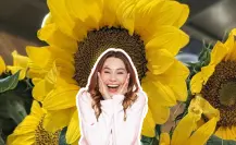 3 opciones para regalar flores amarillas en La Paz este 21 de marzo