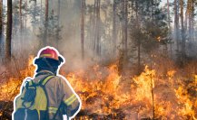 Se han incrementado los incendios forestales en BCS, ¿Cómo prevenirlos?