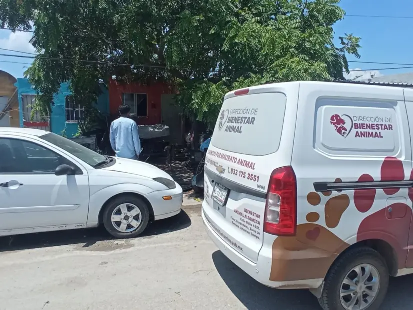 Bienestar Animal de Altamira te invita a una jornada de amor y solidaridad. Foto: Redes Sociales