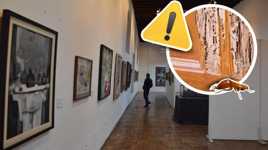 Museo Coahuila y Texas deteriorado por plaga de termitas en Monclova