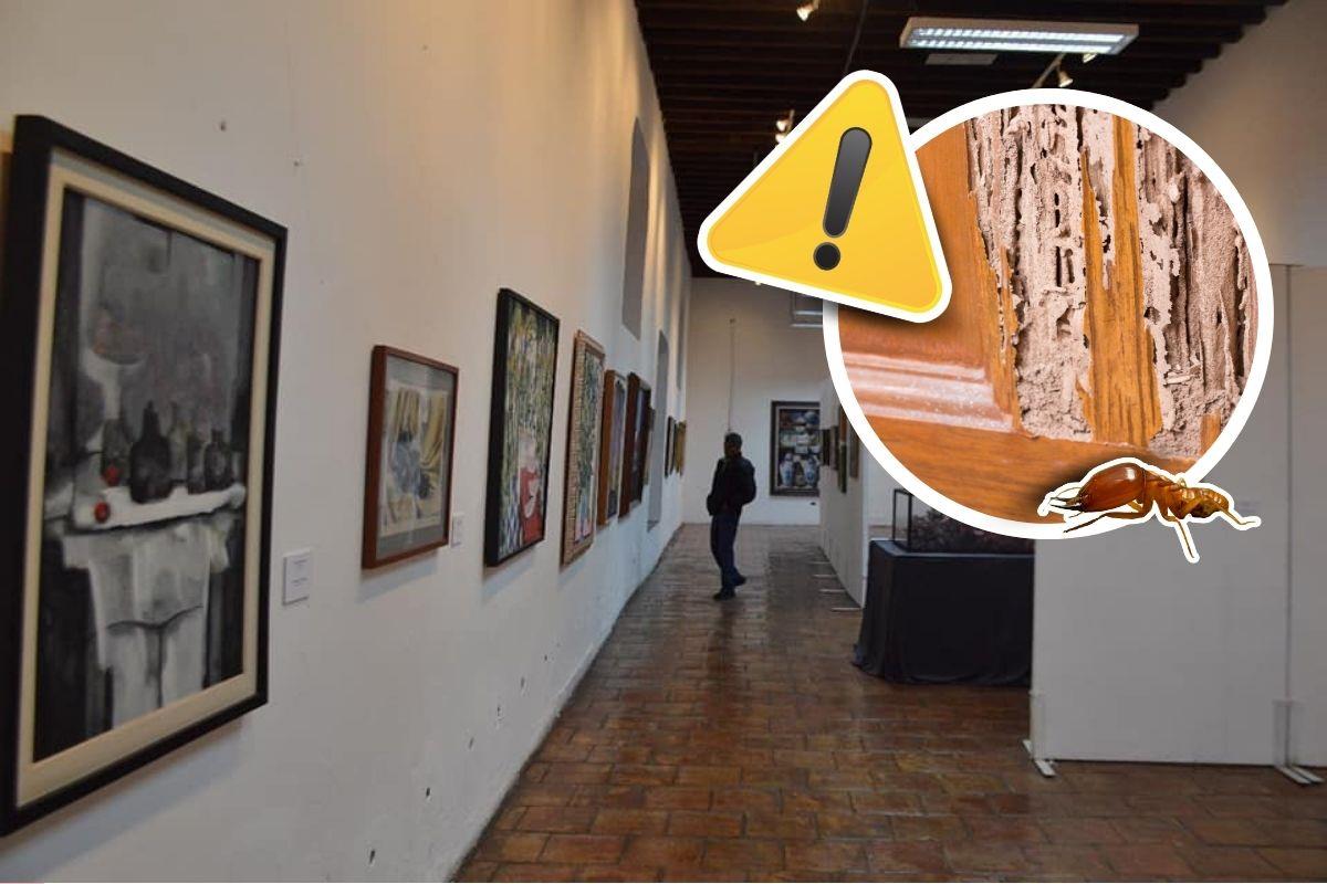 Preocupa plaga de termitas en Museo Coahuila y Texas de Monclova / Fotos: Gobierno de Coahuila | Canva