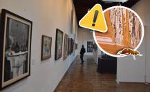 Museo Coahuila y Texas deteriorado por plaga de termitas en Monclova