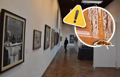 Museo Coahuila y Texas deteriorado por plaga de termitas en Monclova