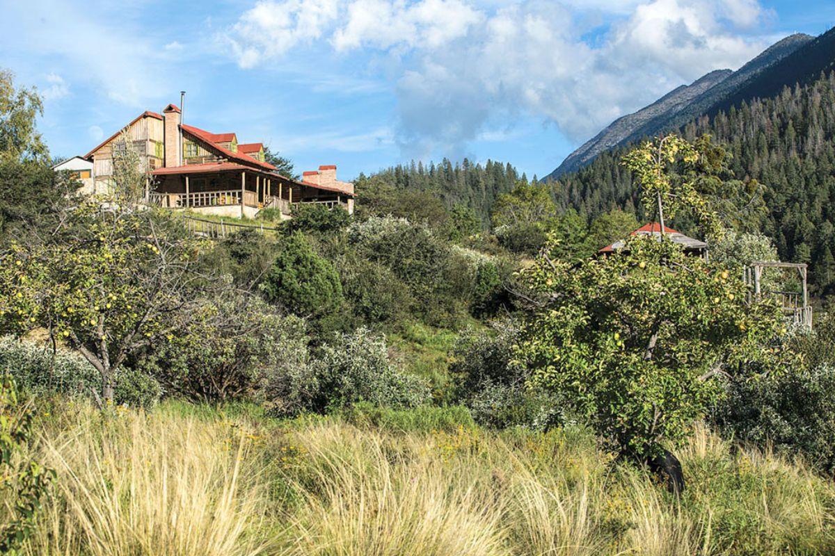 Bosques de Monterreal. Foto de gobierno de México.