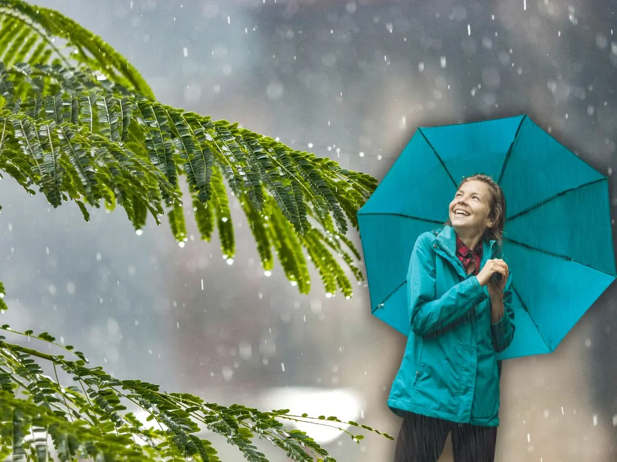 Durante este viernes se presentarían lluvias de menor intensidad en la región por los efectos del frente frío 36.- Fuente Canva