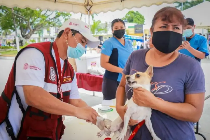 La adopción de mascotas contribuye a disminuir la sobrepoblación de animales en situación de calle. Foto: Redes Sociales