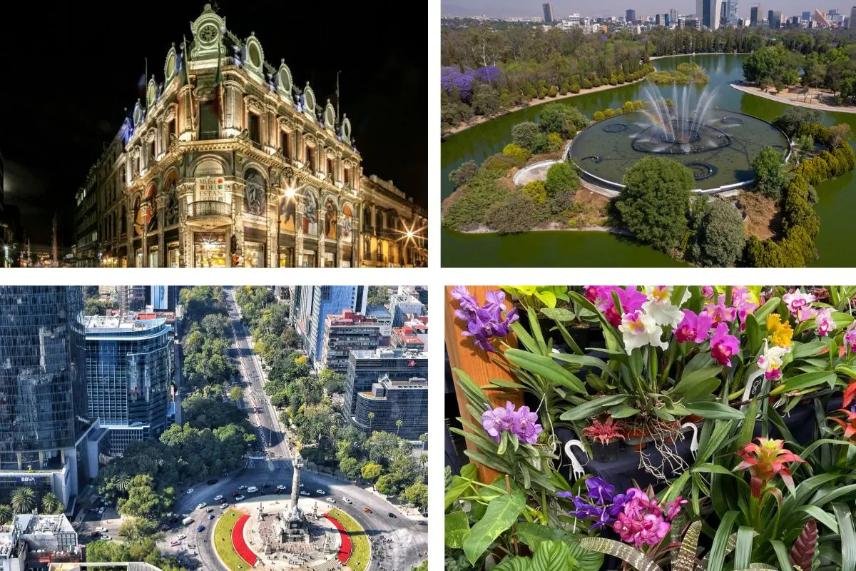 Museo del Estanquillo, Vista áerea del Bosque de Chapultepec, Vista áerea Paseo de la Reforma y Casa Botánica  Foto: IG (@museodelestanquillo) I Pexels I IG (@somoscasabotanica) I Canva