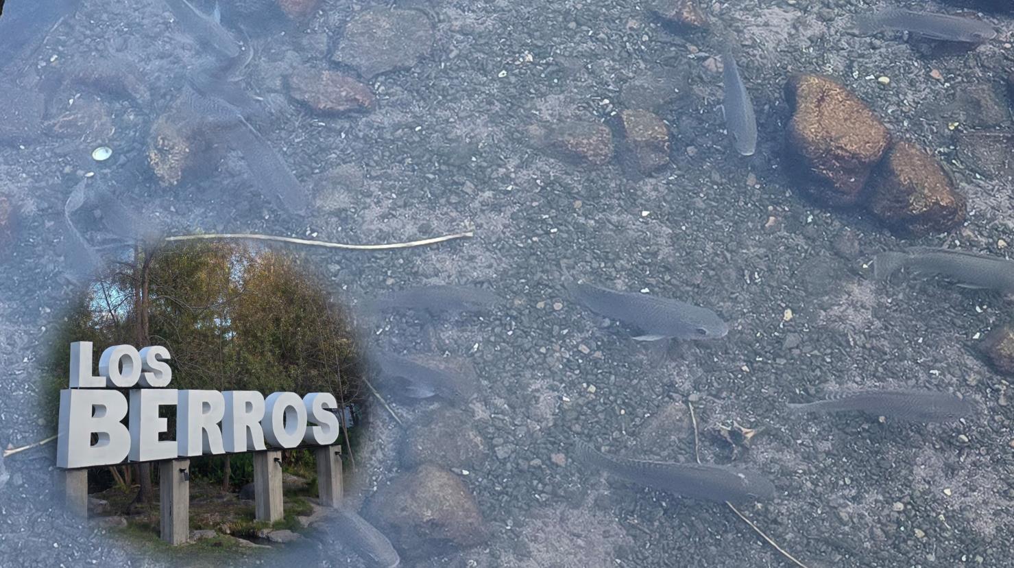 Foto: Gerardo Lares | Estas son las tres opciones de balneario para disfrutar en Los Berros, el increíble poblado que se ubica a 30 minutos de Durango.