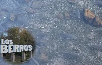 3 opciones de balneario para disfrutar en Los Berros, el increíble poblado a 30 minutos de Durango