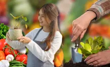 Estas verduras son perfectas para plantar en abril