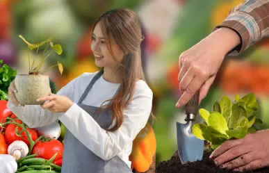 Estas verduras son perfectas para plantar en abril