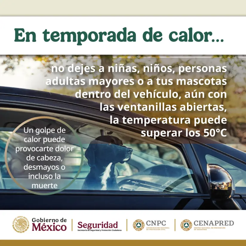 imagen recuadro
