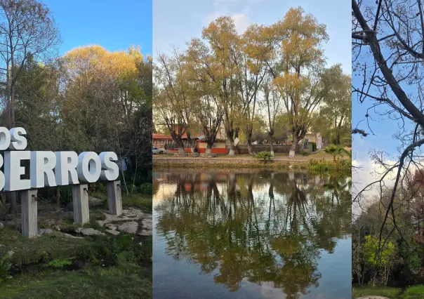 La forma más rápida de llegar a Los Berros, el increíble pueblo de Durango lleno de balnearios