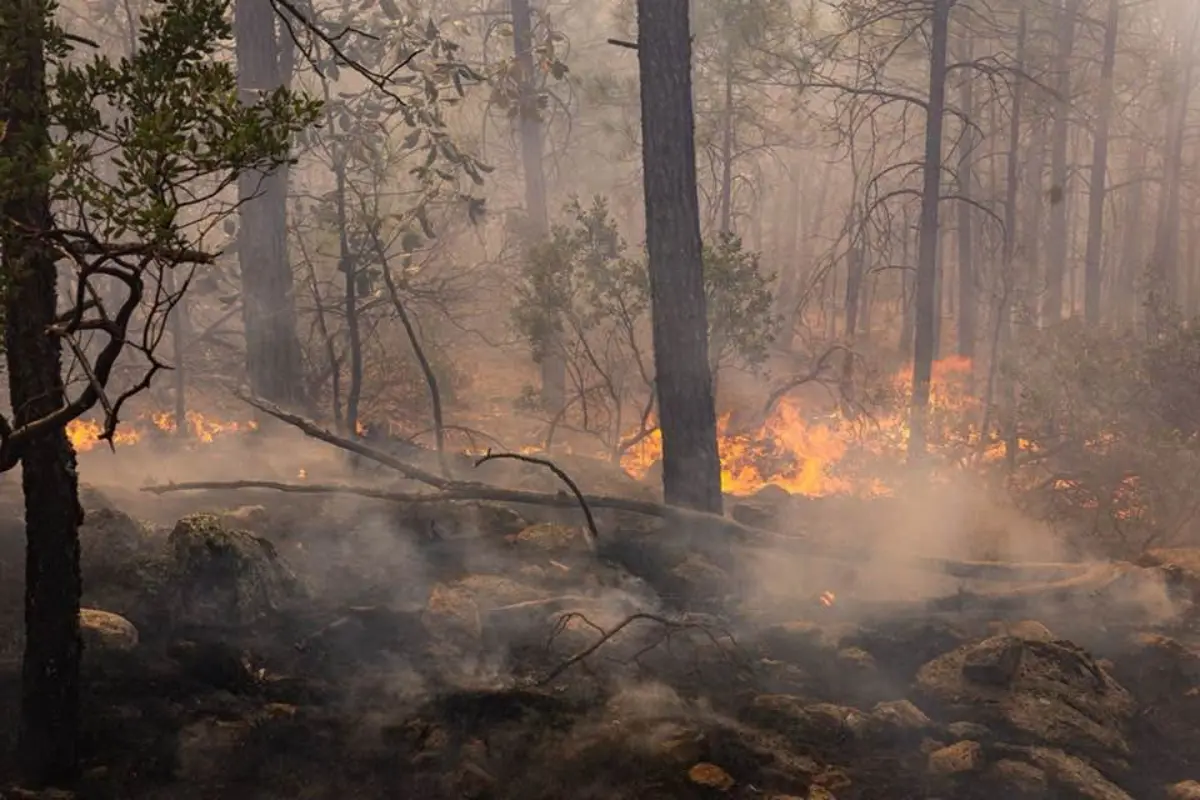 Hasta el reporte del 21 de marzo de 2025, 13 incendios forestales se encuentran activos en Chihuahua. Foto: Protección Civil de Chihuahua